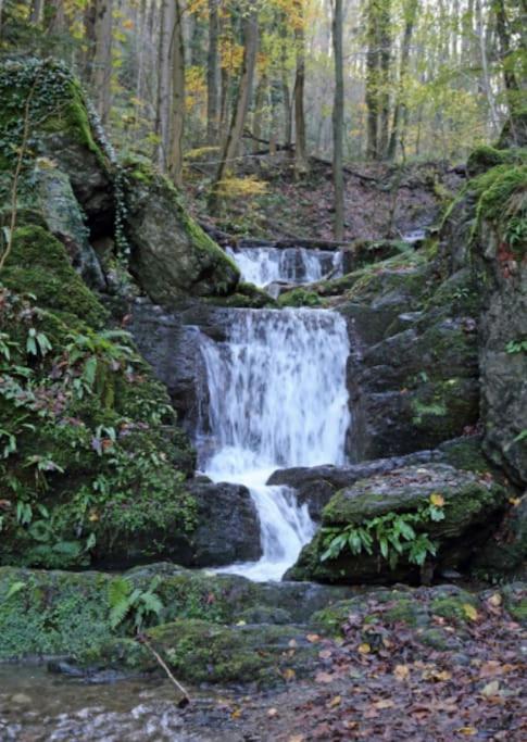 Laissez-Vous Enchanter Par La Vallee De La Meuse Hastiere-par-dela エクステリア 写真
