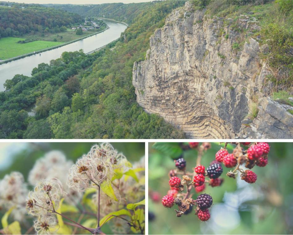 Laissez-Vous Enchanter Par La Vallee De La Meuse Hastiere-par-dela エクステリア 写真